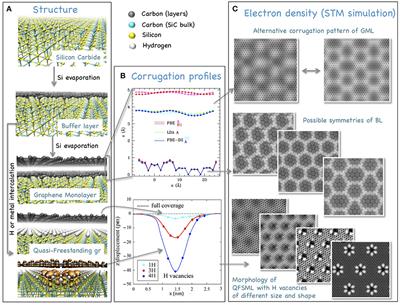 From the Buffer Layer to Graphene on Silicon Carbide: Exploring Morphologies by Computer Modeling